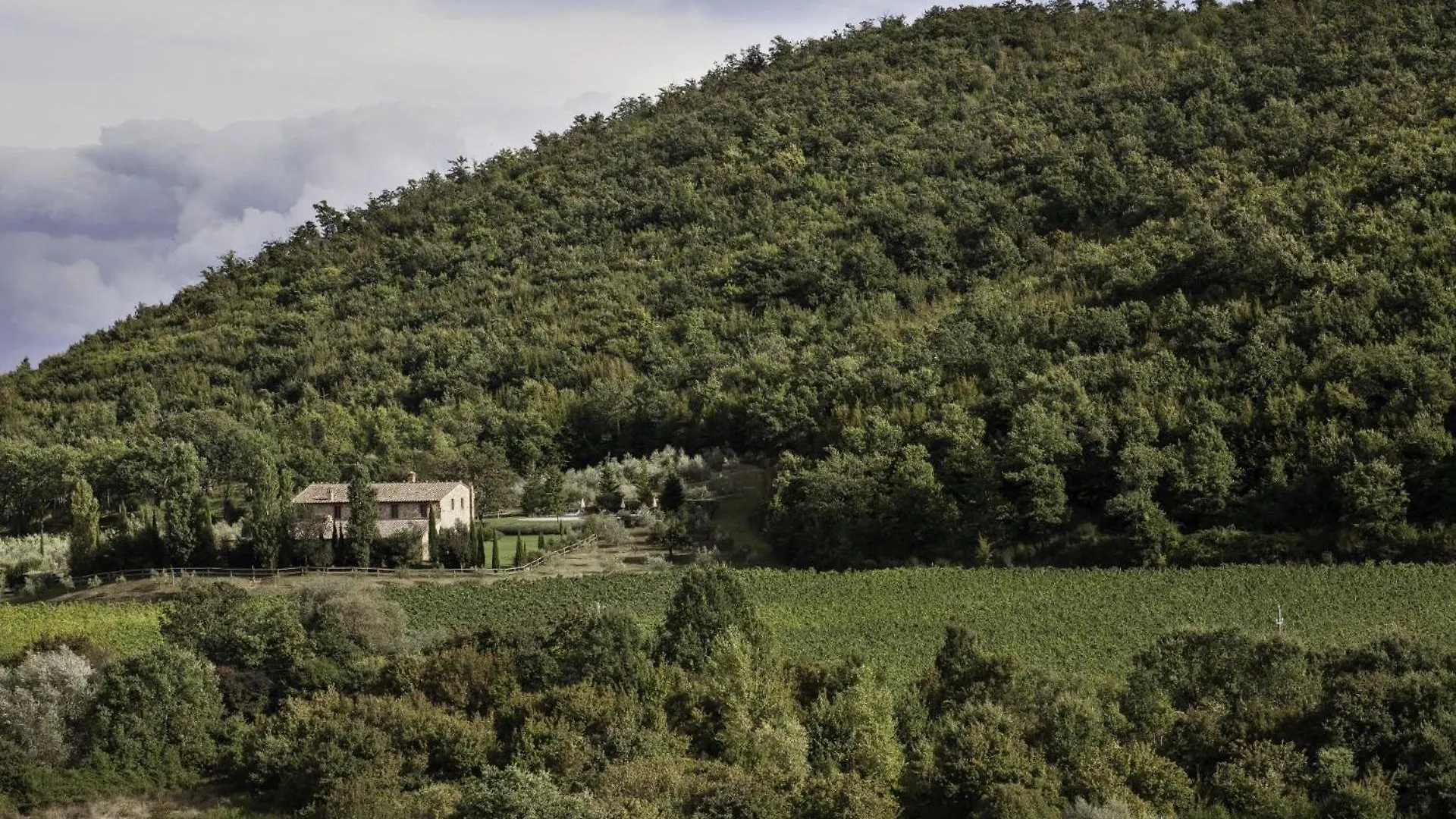 Villa - Podere Monti Sant'Albino